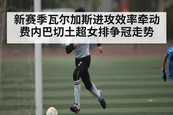 新赛季瓦尔加斯进攻效率牵动费内巴切土超女排争冠走势 - kaiyun.com