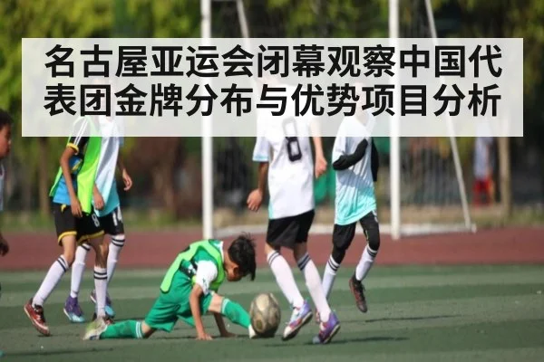 名古屋亚运会闭幕观察中国代表团金牌分布与优势项目分析 - kaiyun.com